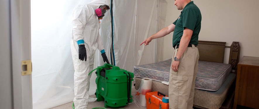 Columbia, SC mold removal process